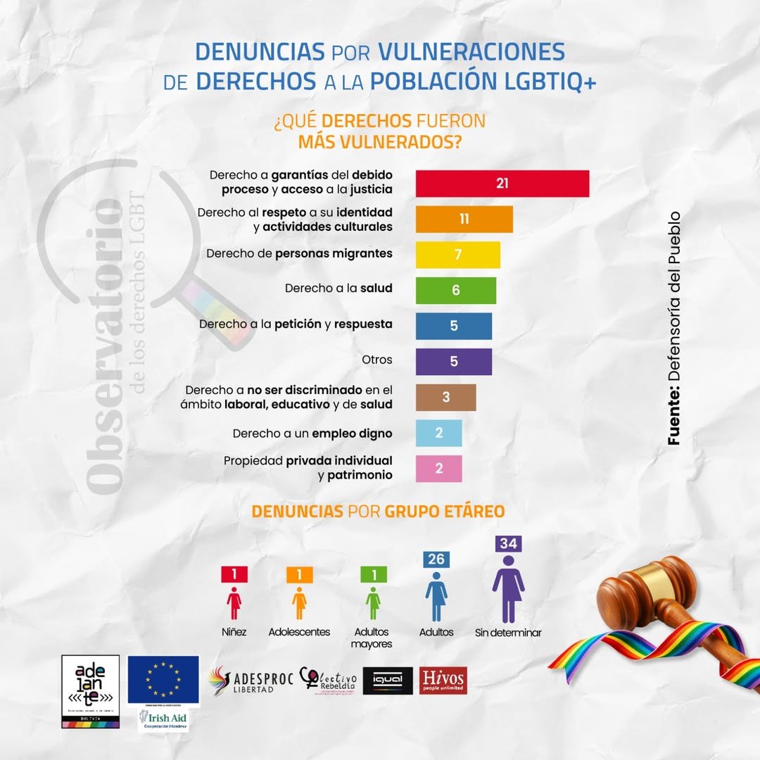 Derechos más vulnerados de la población LGBTIQ+ en Bolivia en la gestión 2024