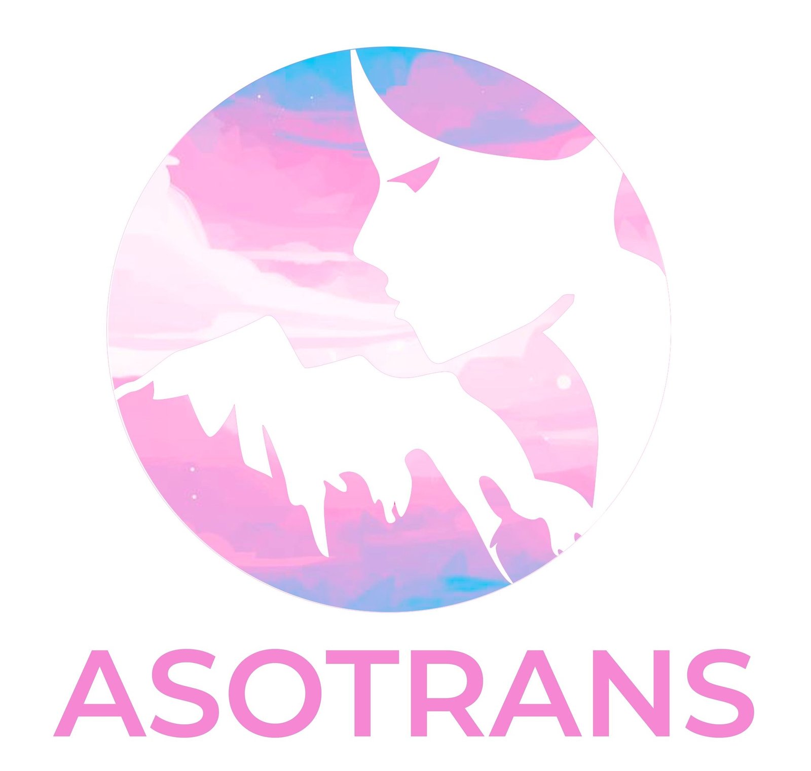 Asotrans – Bolivia 