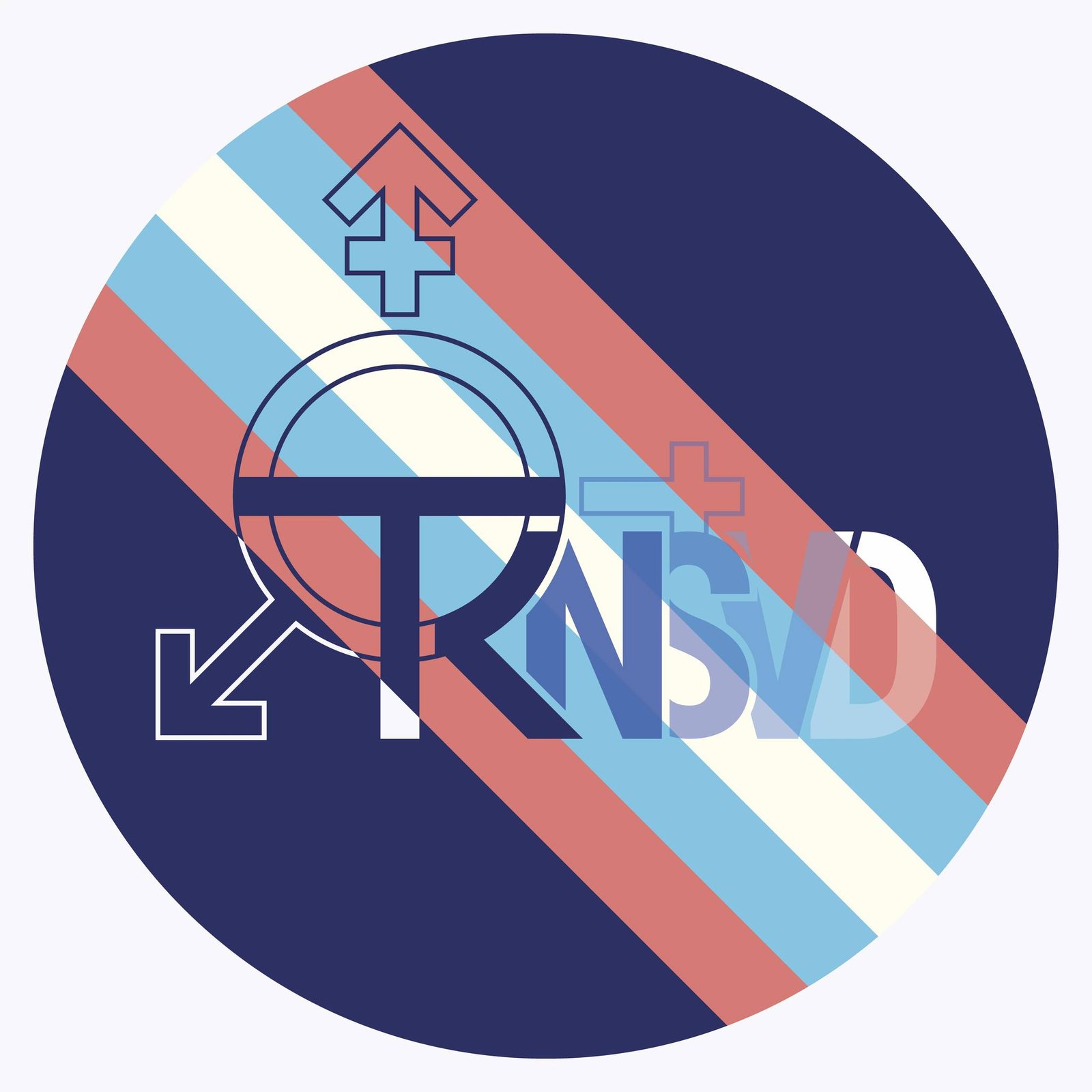 Transversidades Bolivia 