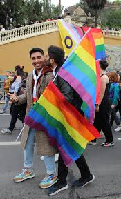 Comunidad LGBT relama a OEA acciones “contundentes” para detener homofobia