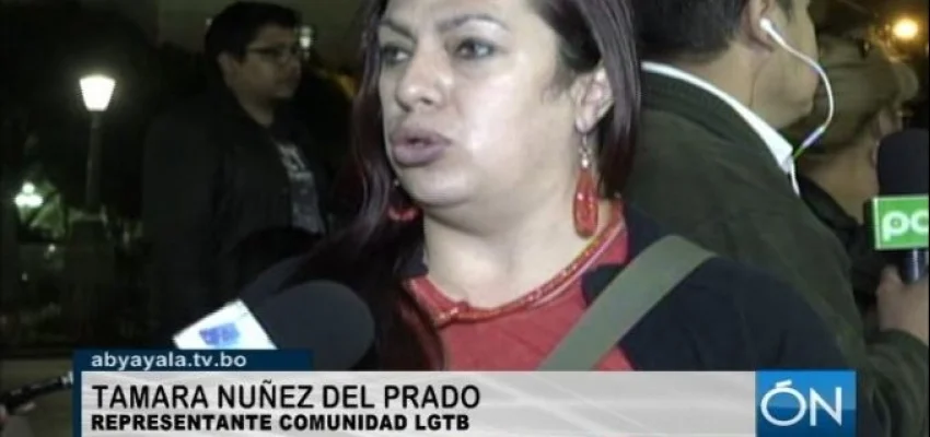 Comunidad LGBT rechaza fallo de la ley de Identidad de Género