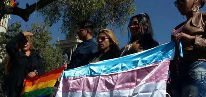 Organización de transexuales y transgénero anuncia demanda contra el Estado por prohibir matrimonios y adopciones