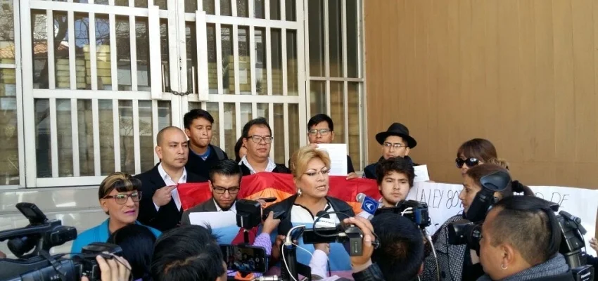 Organizaciones presentan al Tribunal Constitucional recursos de apoyo al colectivo LGBT