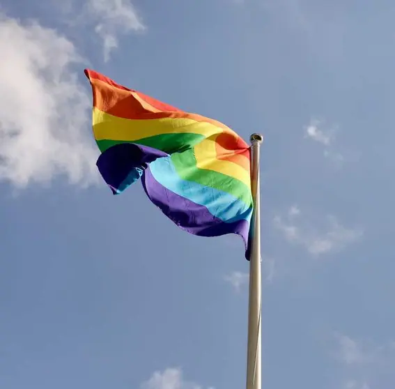 CIDH saluda a Bolivia por eliminar restricciones que estigmatizan a la población LGBTI